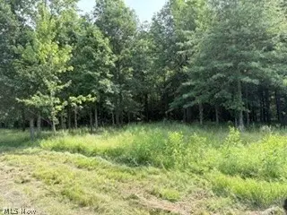 State Route 14, Deerfield, OH 44411 - #1