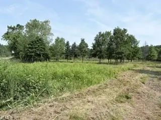 State Route 14, Deerfield, OH 44411 - #3