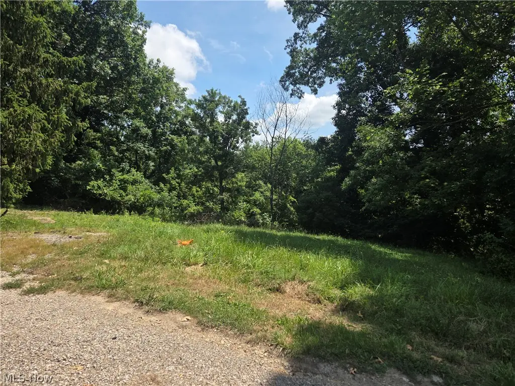 601 Orme Avenue, Cambridge, OH 43725 - #1