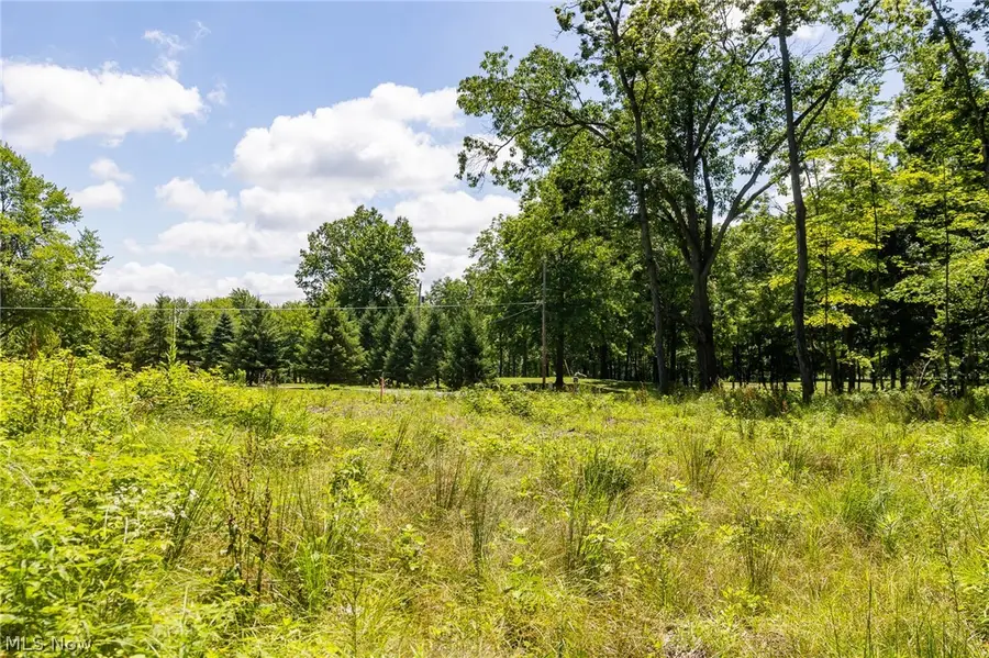 Wayland Road, Diamond, OH 44412 - #3