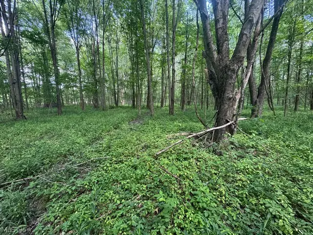 Shafer Road, Warren, OH 44481 - #3