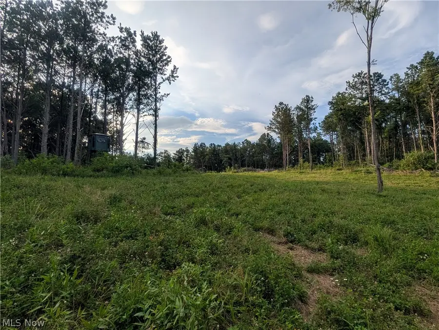 0 Tract D E. Reinersville Road, Manchester, OH 45786 - #2