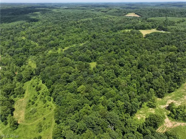 0 Tract ABCD Early Ridge Road, Mcconnelsville, OH 45786