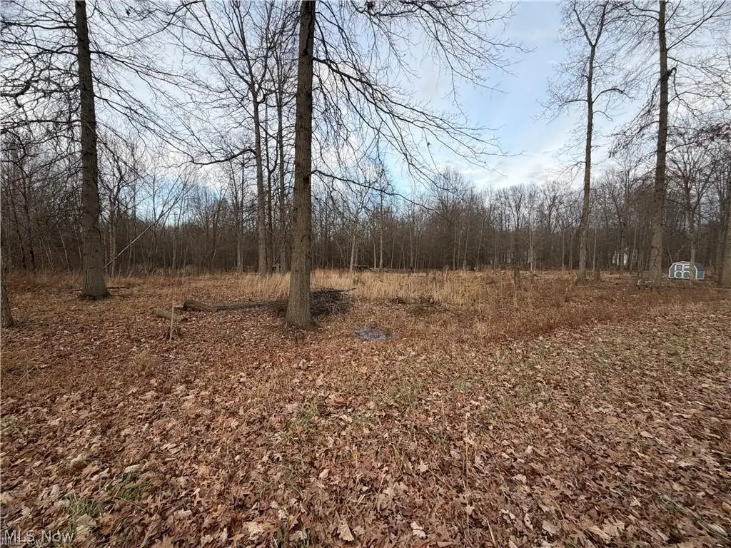 W Nevada Avenue, Sebring, OH 44672 - #1