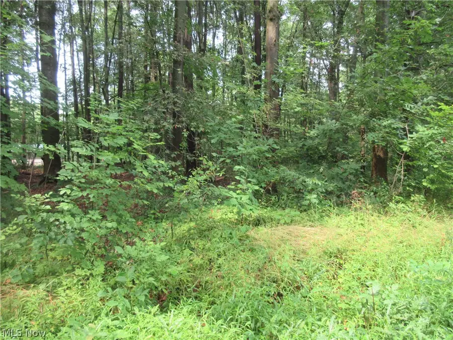 4th Avenue, Andover, OH 44003 - #2