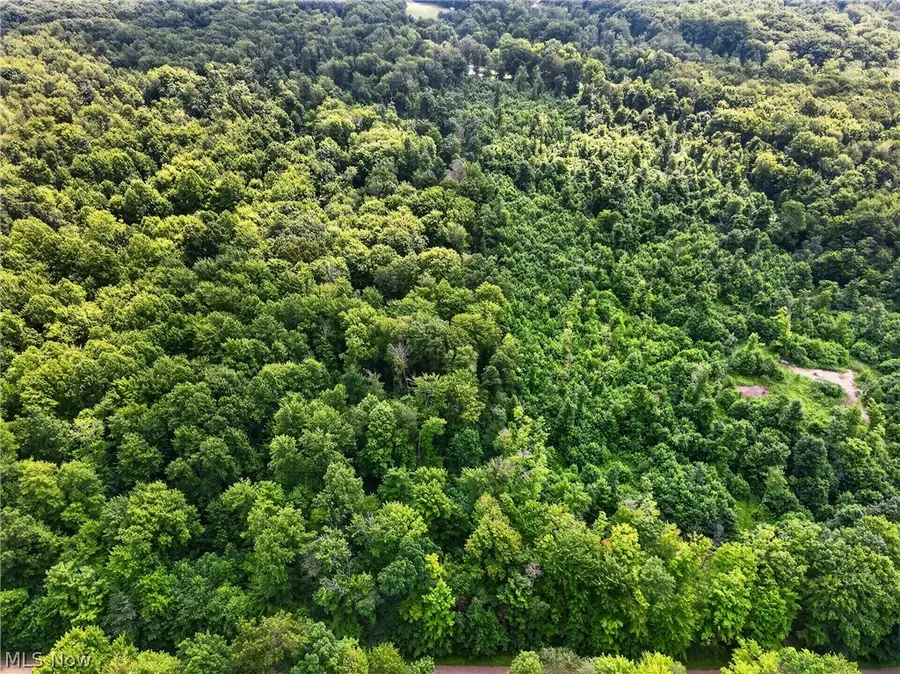 Keefus Road, Conneaut, OH 44030 - #2