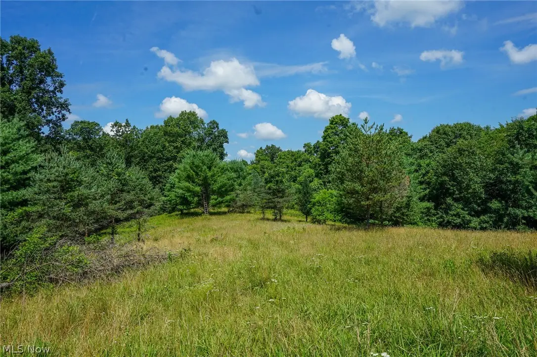 235 Butterbean Ridge Rd, Philo, OH 43771 - #1