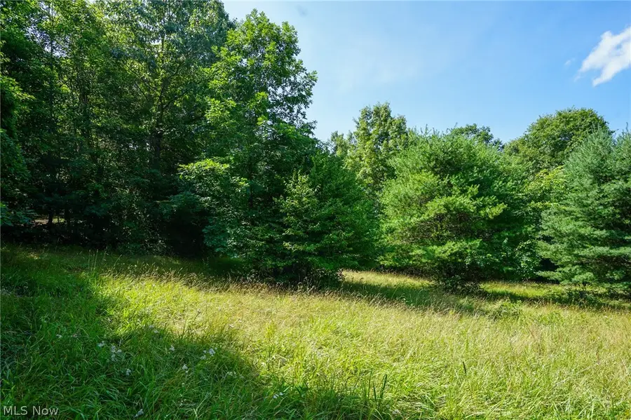235 Butterbean Ridge Rd, Philo, OH 43771 - #3