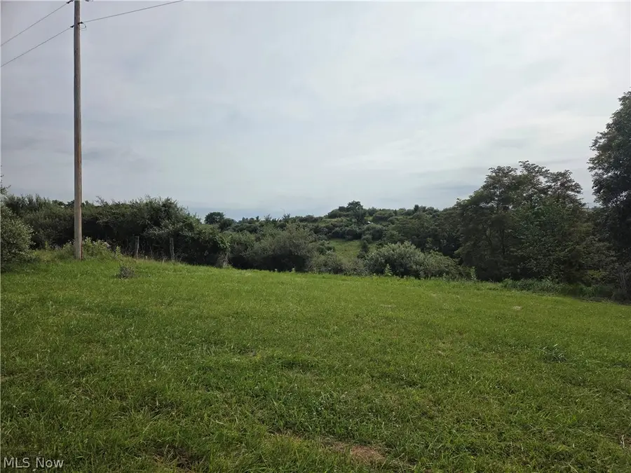 50160 & 50164 St. Clair Street, Saint Clairsville, OH 43950 - #3