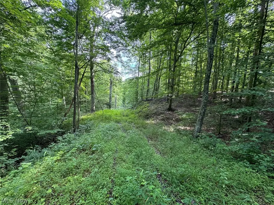Township Rd 289, Corning, OH 43730 - #3