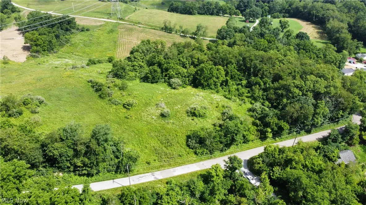 Township Road 135, Dillonvale, OH 43917 - #1