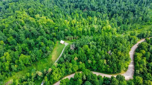 Ogles Ridge Road, Dexter City, OH 45727