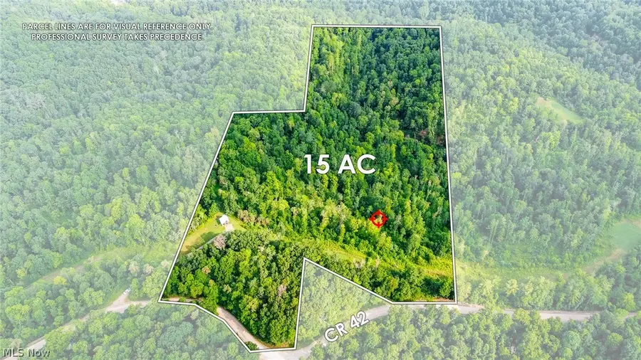 Ogles Ridge Road, Dexter City, OH 45727 - #2