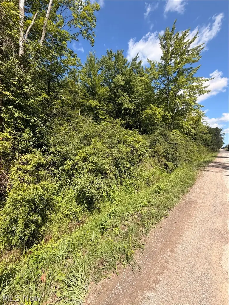 Forman Road, Rock Creek, OH 44084 - #1