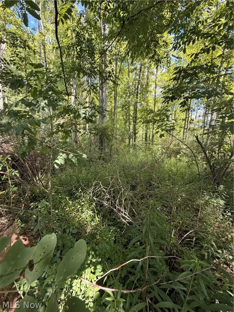 Forman Road, Rock Creek, OH 44084 - #3