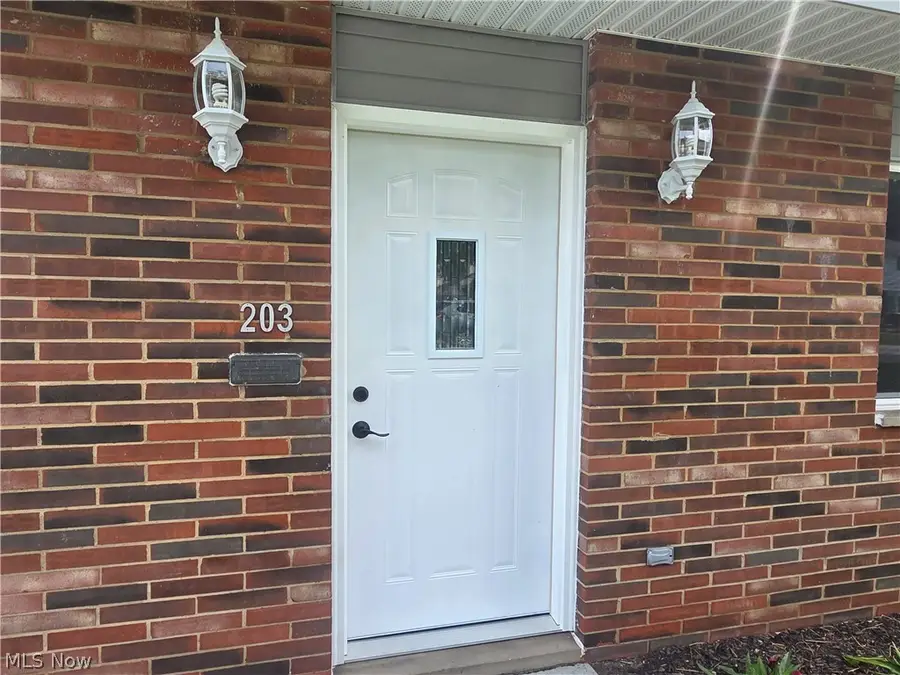 203 Paxton Road, Eastlake, OH 44095 - #2
