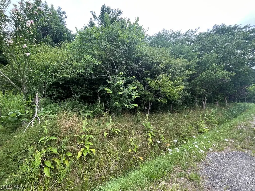 Buie Road, Kingsville, OH 44048 - #1