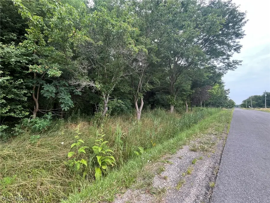 Buie Road, Kingsville, OH 44048 - #3