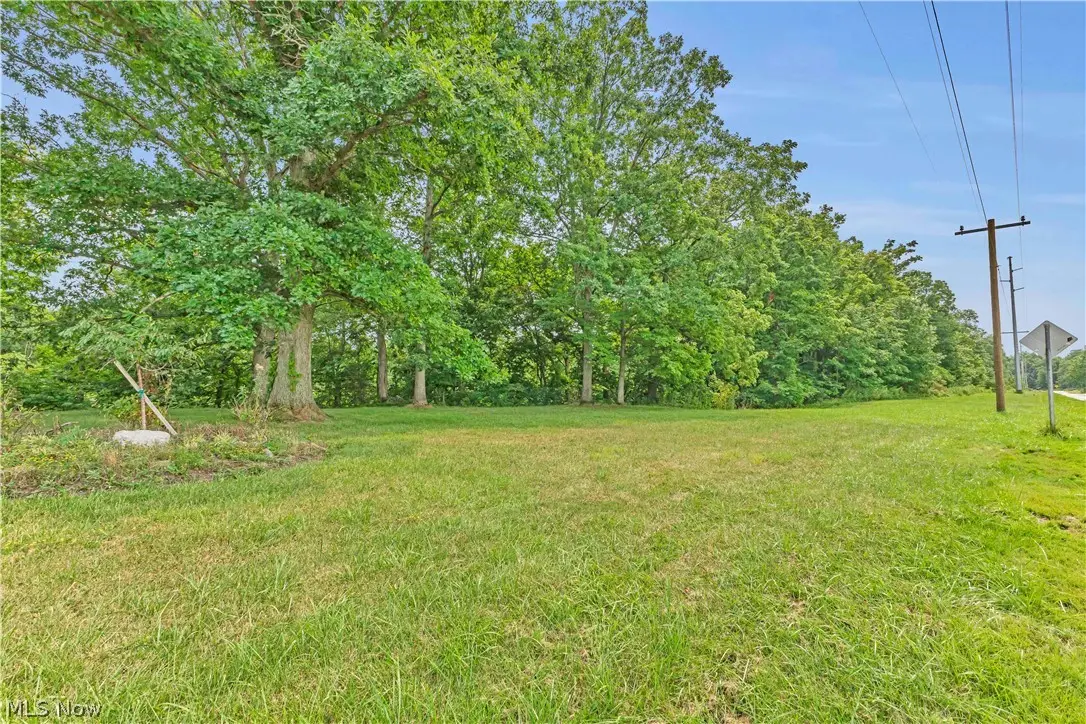 Indian Hollow Road, Wellington, OH 44090 - #1