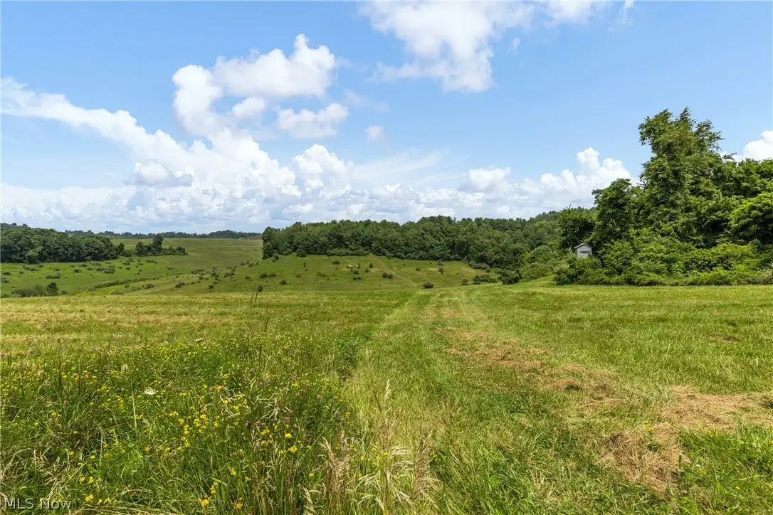 Pultney Avenue, Barnesville, OH 43713 - #1