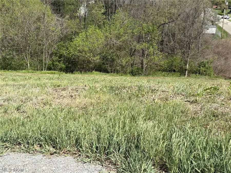 Bantam Ridge, Wintersville, OH 43953 - #3