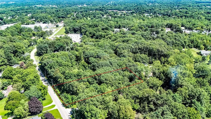 48091 N Ridge Road, Amherst, OH 44001 - #2