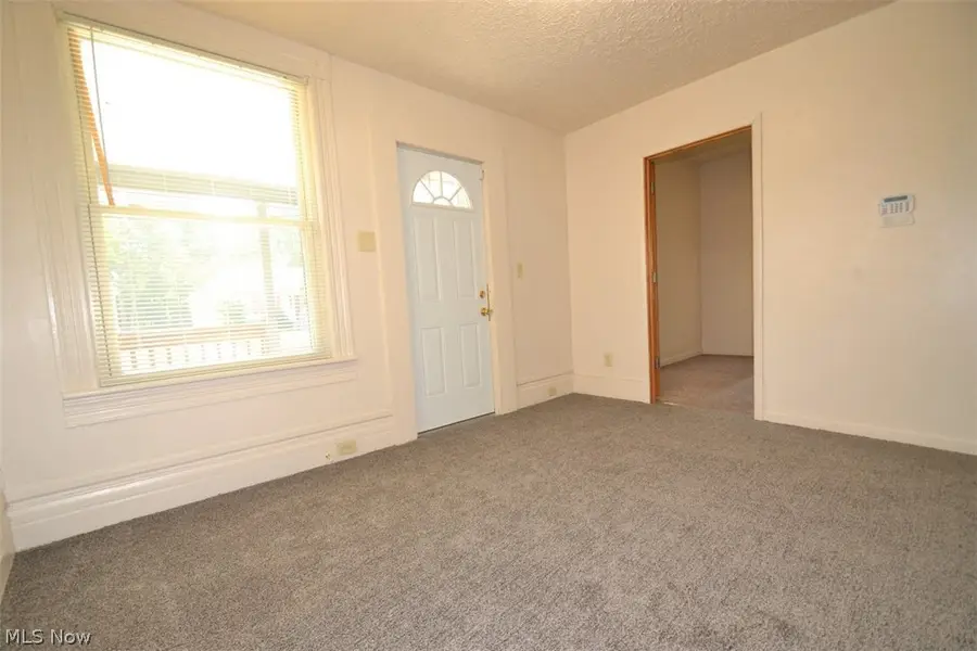 514 Brown Street, Akron, OH 44311 - #2