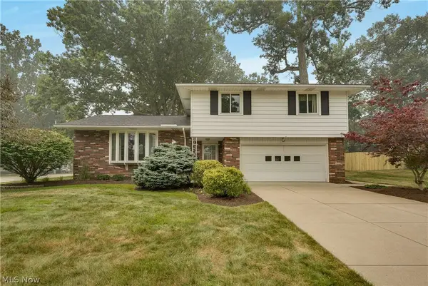4880 Maple Hill Drive, Seven Hills, OH 44131