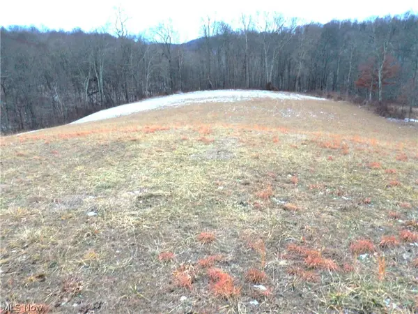 Moore Ridge, Jerusalem, OH 43747
