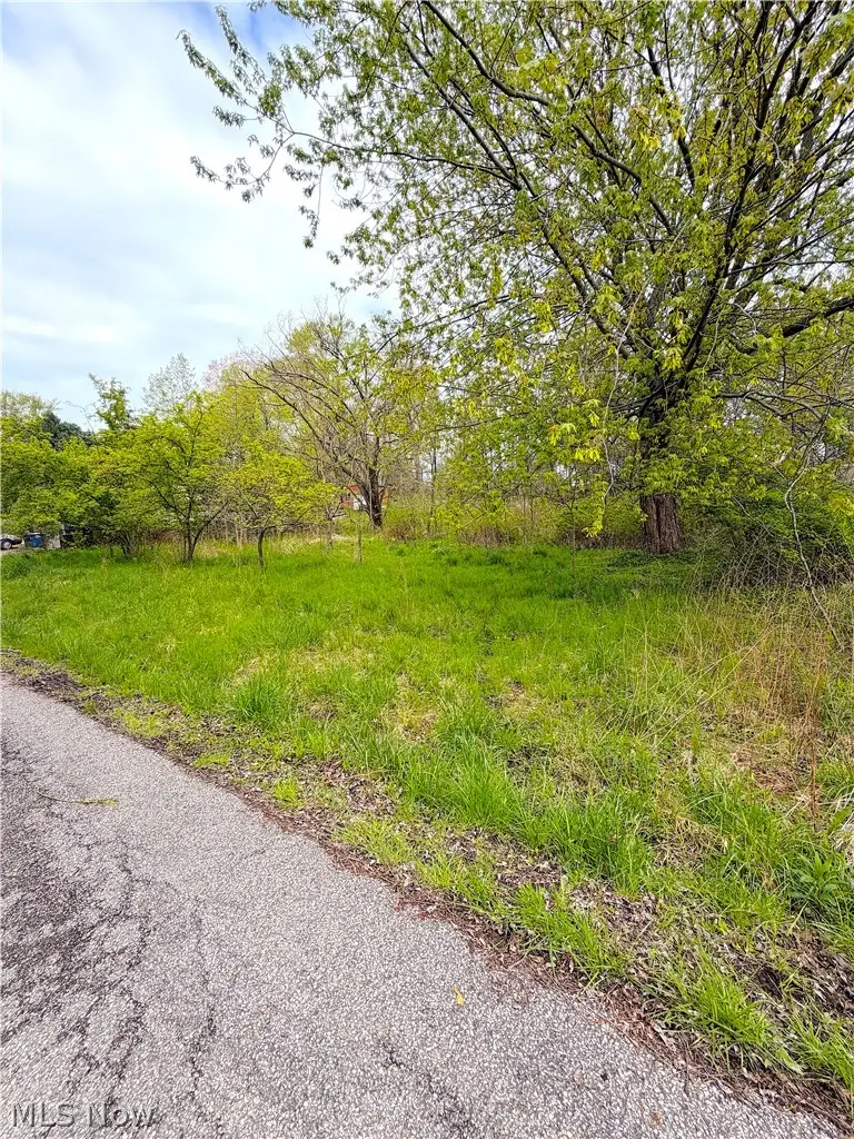 E 7th Street, Ashtabula, OH 44004 - #2