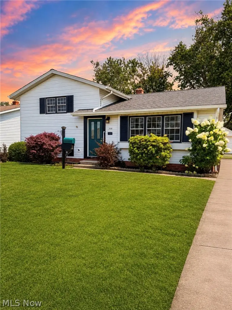 339 E 315th Street, Willowick, OH 44095 - #1
