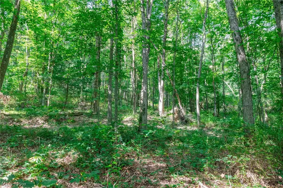 Lincoln Street, Salineville, OH 43945 - #2