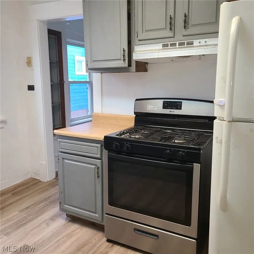 16308 Nela View Road, East Cleveland, OH 44112 - #3