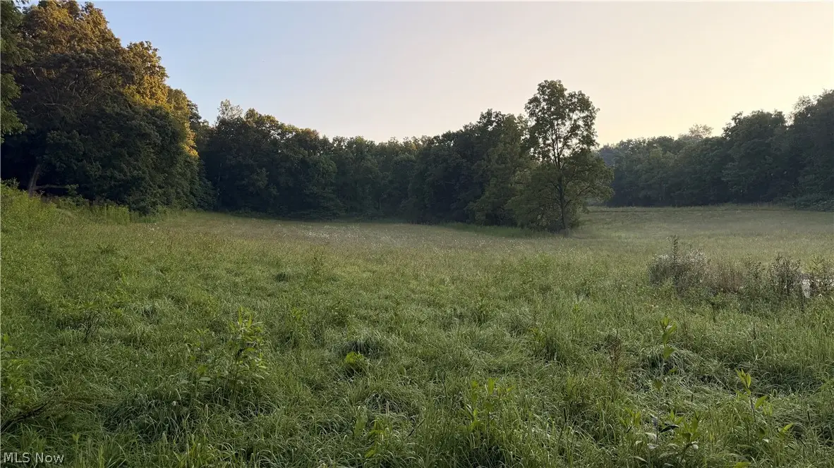 Co. Rd. 2575, Loudonville, OH 44842 - #1