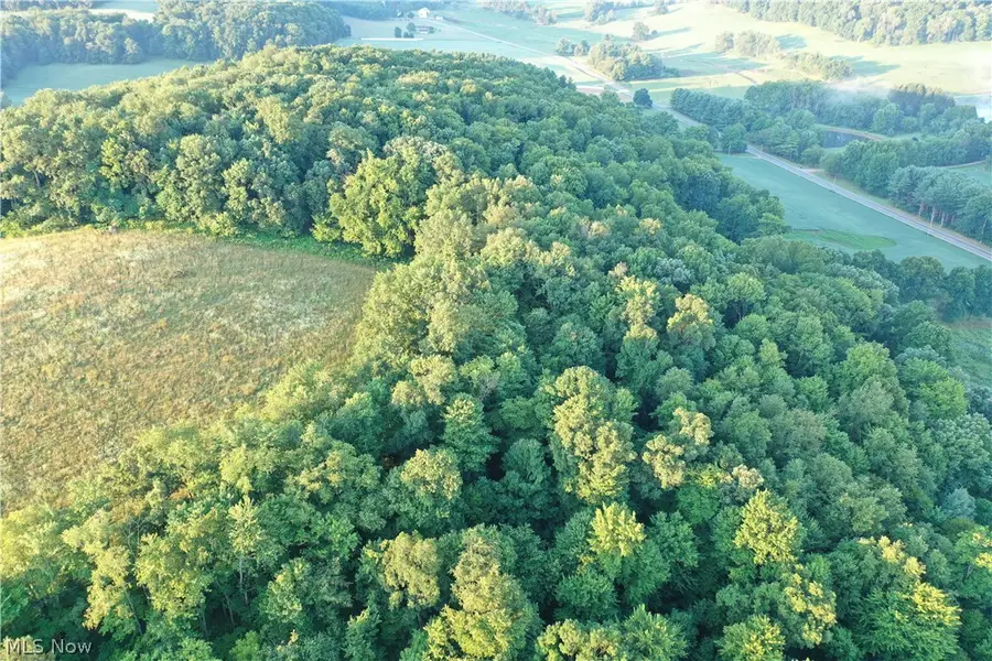 Co. Rd. 2575, Loudonville, OH 44842 - #3