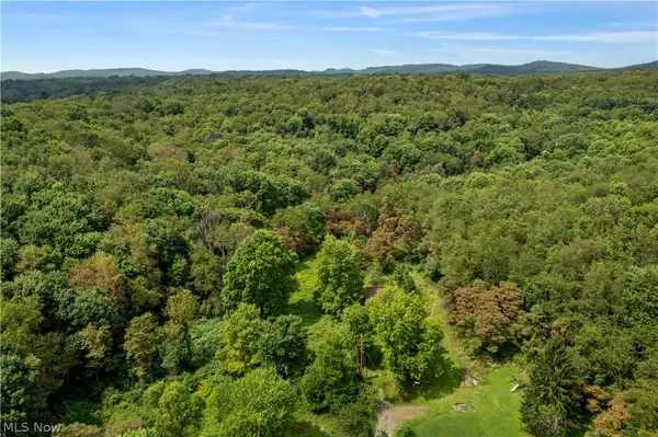 Buzzard Road, Wellsville, OH 43968