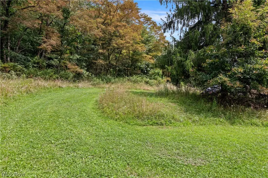 Buzzard Road, Wellsville, OH 43968 - #3
