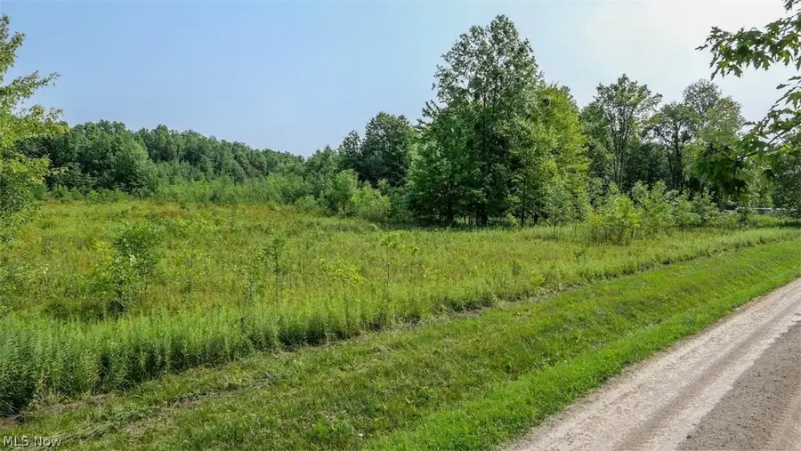 4523 Plank Road, Orwell, OH 44076 - #3