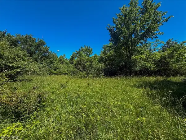 Lot 2 Altamont Rd, Mingo Junction, OH 43938