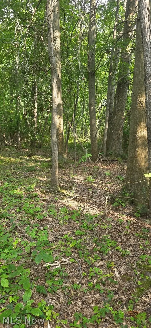 Lincoln Boulevard, Hudson, OH 44236 - #1