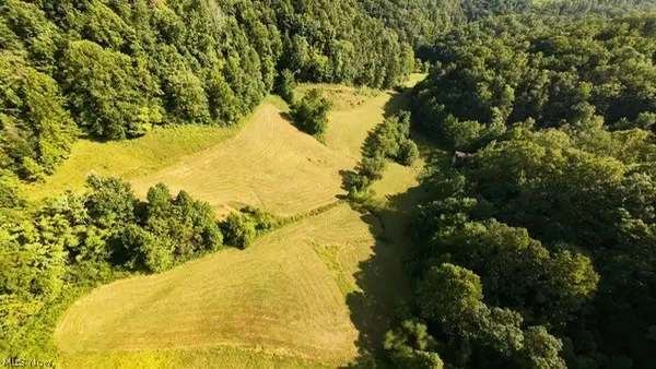 001 Mud Fork Road, Chloe, WV 25235