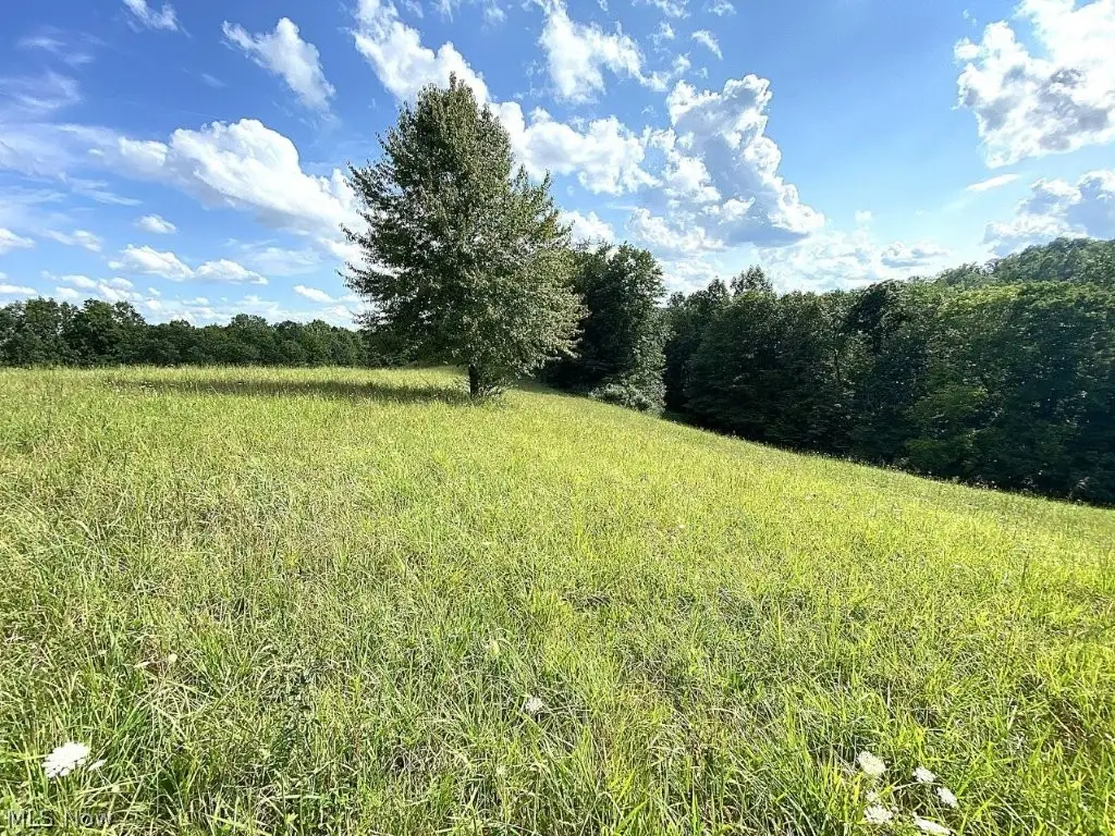 Little Left Hand Road, Looneyville, WV 25259 - #1