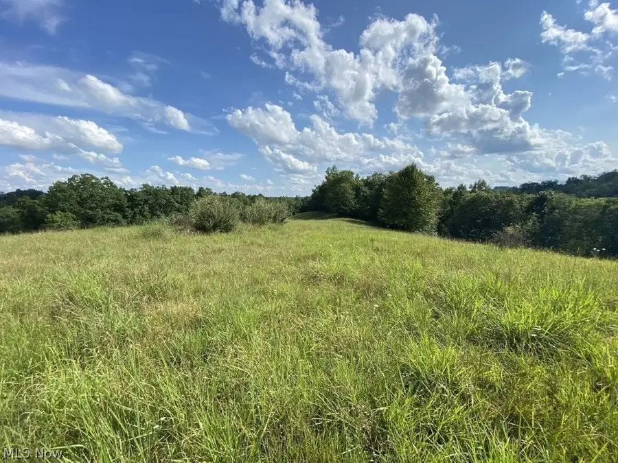 Little Left Hand Road, Looneyville, WV 25259 - #3