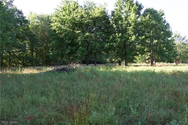 16145 Moseley Road, Thompson, OH 44057