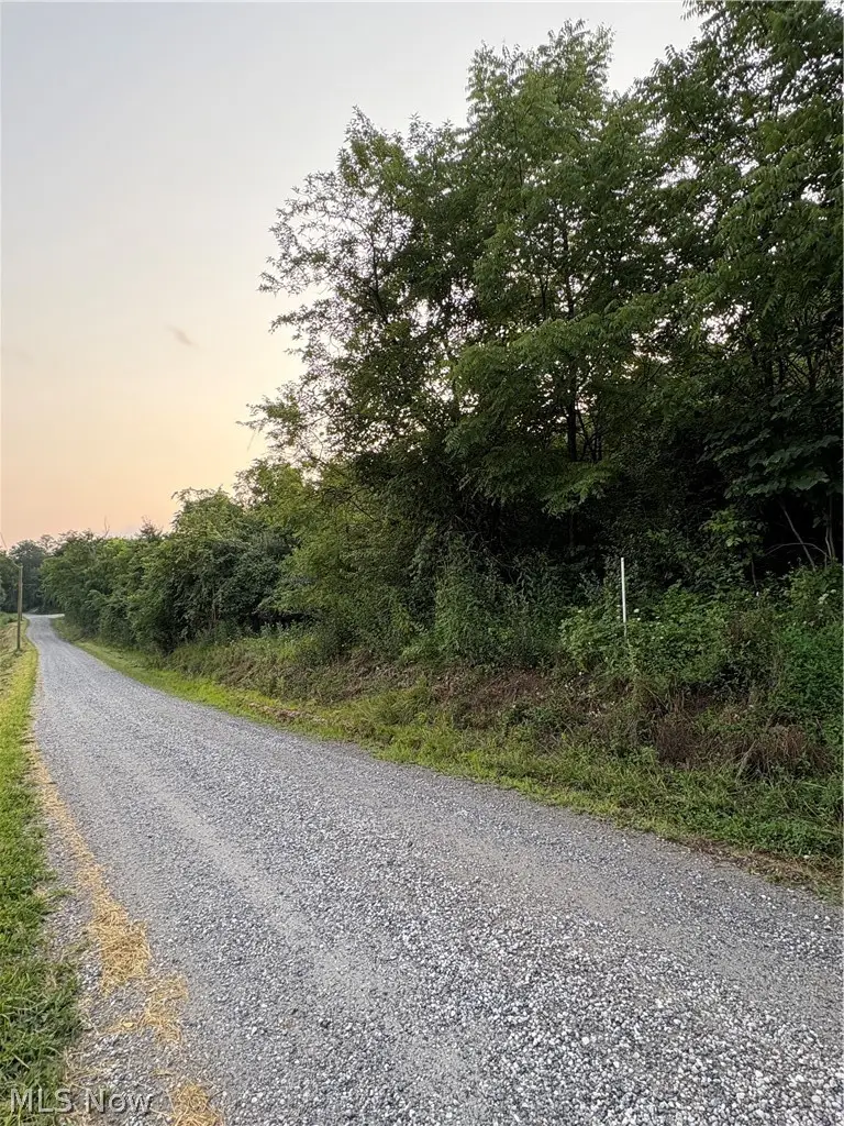 Britton Road, Senecaville, OH 43780 - #1