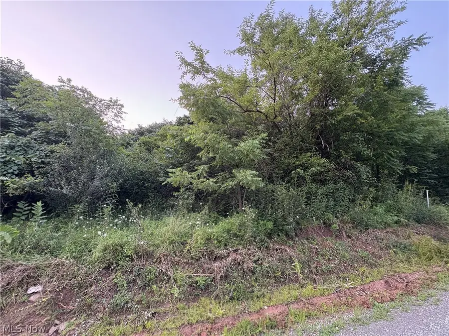 Britton Road, Senecaville, OH 43780 - #2