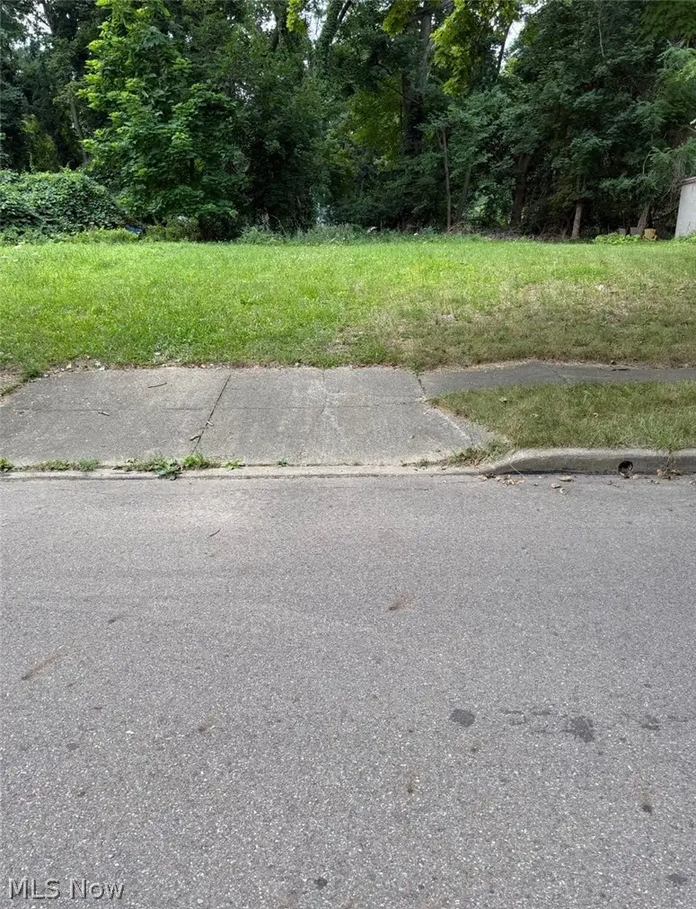 116 Charles Street, Akron, OH 44304 - #1