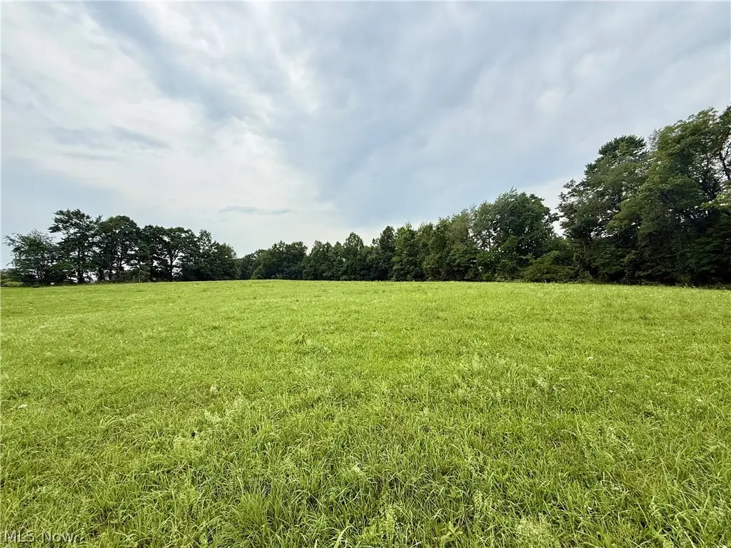 Cinder Road, Bergholz, OH 43908 - #1