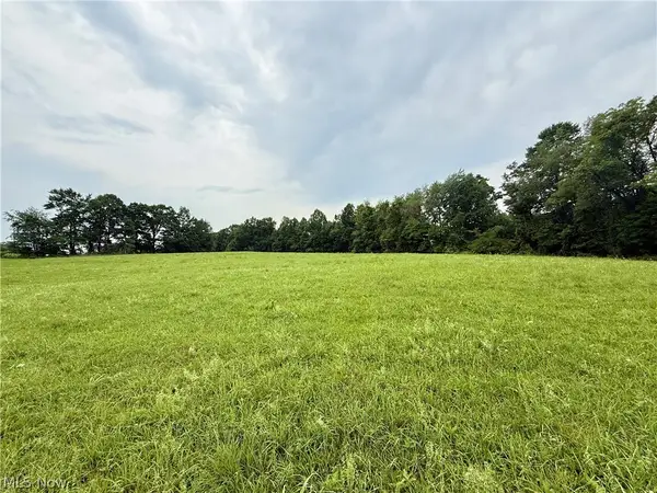 Cinder Road, Bergholz, OH 43908