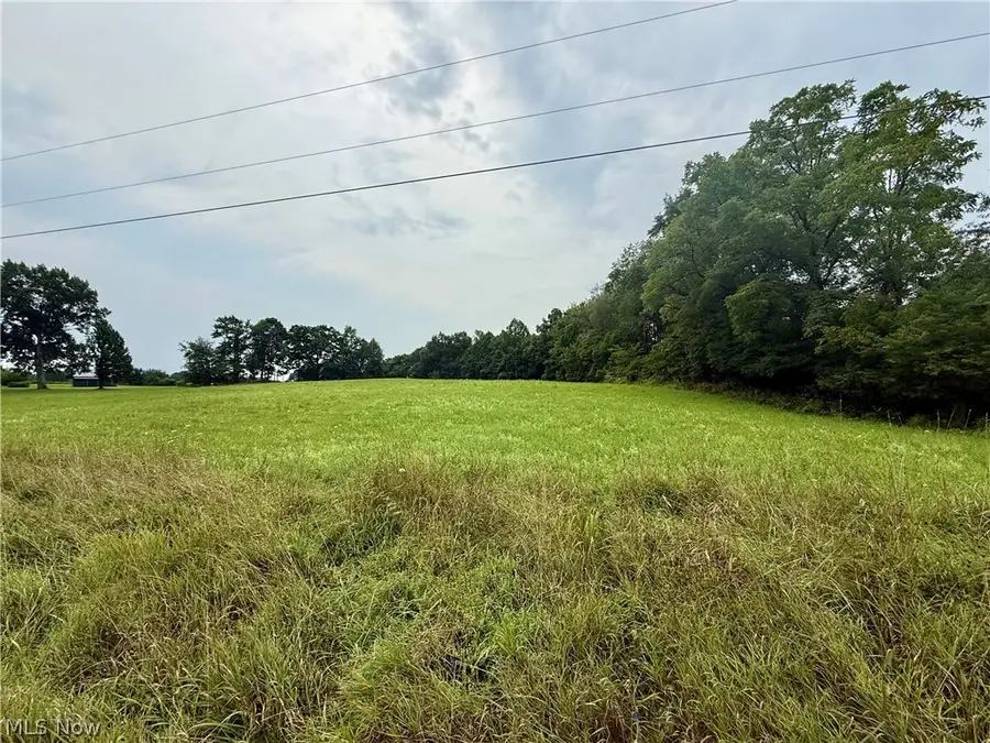 Cinder Road, Bergholz, OH 43908 - #3